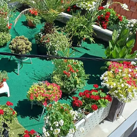 Lägenhet Sunshine Visoko