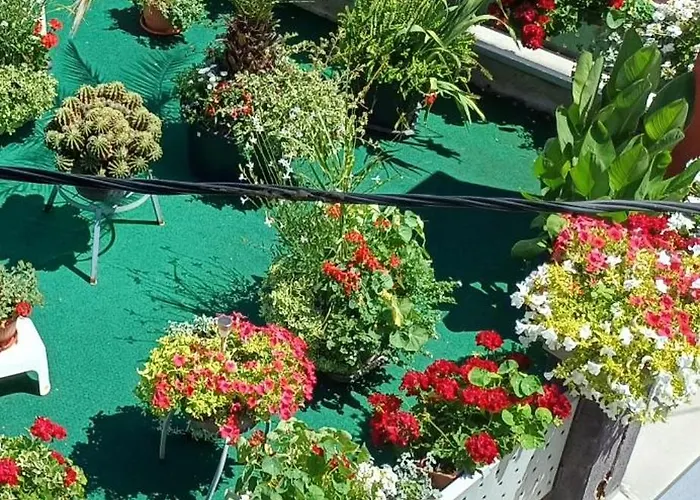 شقة Sunshine فيسوكو